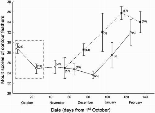 Figure 1. Changes across time in Moult scores of contour feathers of 269 juvenile Common Chiffchaffs wintering in two distant localities of the Iberian Peninsula (Málaga in the south, Barcelona in the north). Empty circles correspond to individuals from Málaga, while filled squares correspond to individuals from Barcelona. Mean values and standard errors are provided. Sample sizes for each point are shown within brackets. Within the square are highlighted the earliest migrants that could have reached southern localities across the season. It is probable that these individuals came from the Iberian Peninsula.