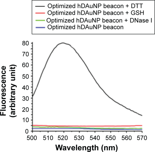 Figure S2 Stability of STAT5b hDAuNP beacon.Notes: Fluorescence spectra of STAT5b hDAuNP beacons before and after addition of DNase I or GSH, in which excess DTT was added to achieve the complete fluorescence recovery due to the thiol–thiol exchange reaction (this thiol–thiol exchange reaction will result in a complete release of thiol-terminated FITC-labeled hairpin DNA from AuNP surface). When DNase I or GSH was added, both the solutions of beacons exhibited low fluorescence signals.Abbreviations: AuNP, gold nanoparticle; DNase, deoxyribonuclease; DTT, dithiothreitol; FITC, fluorescein isothiocyanate; GSH, glutathione; hDAuNP, hairpin DNA-coated gold nanoparticle; STAT5b, signal transducer and activators of transcription 5b.