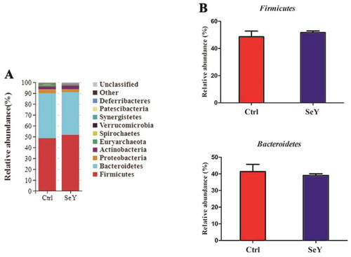 Figure 4. Relative abundance of the cecal microbiota at the phylum level in the Ctrl, and SeY treatments based on the 16S rDNA gene sequence. (A) The stack-column of the cecal microbiota from different groups at phylum level. (B) The relative abundance of Firmicutes and Bacteroidetes was expressed as mean ± SEM.
