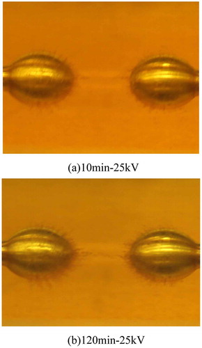 Figure 3. Cellulose particles accumulation in natural ester (a) 10 min-25 kV (b) 120 min-25 kV.