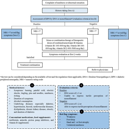 Figure 1. Overview of the preliminary evaluation and management of DPN.