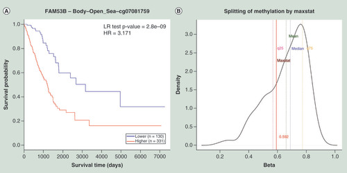 Figure 2.  Example of MethSurv graphical outputs generated for the CpG cg07081759- FAM53B in lung adenocarcinoma samples using the ‘single CpG’ analysis module. (A) Kaplan–Meier plot showing survival in higher (β > 0.59; shown in red) and lower (β < 0.59; shown in blue) methylation groups dichotomized by maxstat method. The X-axis denotes survival time in days and the Y-axis denotes the probability of patient survival. (B) Density plot, highlighting all the cut-off points evaluated in MethSurv. Different cut-off points are represented by colored texts and the number in red denote the currently used cut-off point to group the patients. (C) Violin plots showing the methylation levels among different age groups. Continuous age data are binned into quantiles for the visualization. (D) Violin plots showing the methylation levels among female and male samples. (E) Violin plots showing the methylation levels among stage I, II, III and IV LUAD samples. A boxplot within each violin plot summarizes the interquartile range and median methylation levels (show by a thick black line). The X-axis denotes the patient category, while the Y-axis denotes the methylation β-values (ranging from 0 to 1).HR: Hazard ratio; LR: Log-likelihood ratio; LUAD: Lung adenocarcinoma; q25: Upper quantile; q75: Lower quantile.