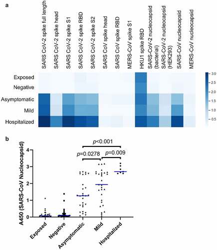 Figure 2. Prevalence of IgG specific for recombinant betacoronavirus proteins and domains. (a) Plasma was assayed by ELISA against the indicated recombinant protein antigens. The mean optical density seen for each group is shown as a heatmap, where darker color indicates greater average abundance of antibodies against the indicated antigen. (b) Abundance of antibodies to SARS-CoV nucleocapsid protein in individual donors. Each point indicates an individual donor. Blue lines indicate median values. Significant p values between the three infected groups are indicated (ANOVA with Tukey HSD, p < 0.05, n = 7–30). Pairwise differences are also significant between each of the three infected groups and each of two uninfected groups but are omitted for clarity.