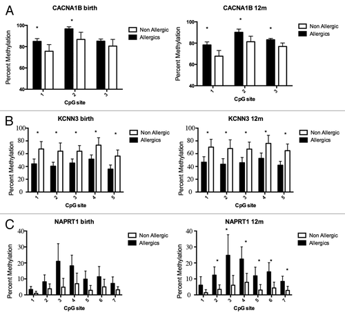 Figure 4. DNA methylation levels measured by Sequenom EpiTyper validate BeadArray methylation data. Target validation for 3 different genes, (A) CACNA1B a calcium signaling molecule (B) KCNN3 a calcium activated channel molecule (C) NAPRT1, an oxidative stress gene. Bars show average percent methylation with standard deviation. Statistical analysis performed by Man-Whitney U test corrected for multiple testing (q-value 1%).