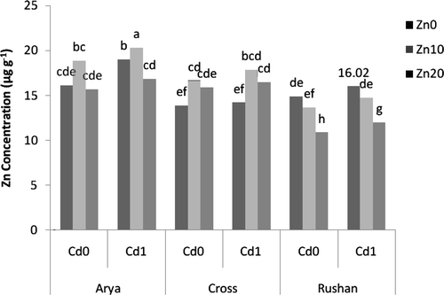 Figure 5. The effect of varied buffered zinc (Zn2+) and cadmium (Cd2+) activities on Zn concentration in root cell wall of wheat genotypes. Same letters above bars indicate no significant difference at P < 0.05. Zn0, Zn10, and Zn20 present free Zn2+activities 10−11.11, 10−9.11, and 10−8.81 µM, respectively. Cd0 and Cd1 present free Cd2+ activities 10−11.21 and 10−10.2 µM, respectively.