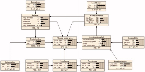 Figure 1. The final Bayesian network of planted forest area. Note: The values 44.2; 30.2; 25.5 in planted forest area is percentage (%); 2.02 ± 2.7 in planted forest area is (mean ± standard deviation).