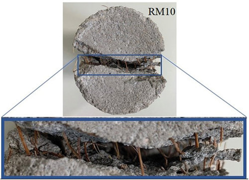 Figure 7. Failure pattern of reinforced mortars under splitting tensile test with detail of the cross-section of the fractured specimen and fiber bridge effect.