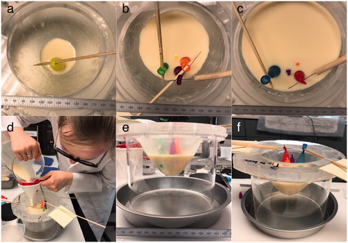 Figure 2. Fabrication of breast-mimicking phantoms. (a–c) Top view of canola oil filled balloons held in place with removable supports as different layers of the gelatine cool and solidify. (d) Pouring gelatine around secured balloons. (e, f) Side views of the breast-shaped mould at different stages of phantom fabrication. The canola oil-filled balloons were placed in the near field of the breast mould to create a heterogeneous anatomy that induced phase aberrations while allowing MRTI at the geometric focus of the transducer.