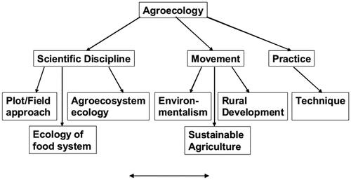 Figure 1. Variety in the contemporary interpretations and connotations of agroecology.