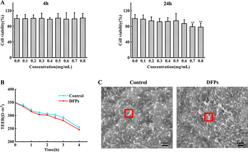 Figure 4 Viability and integrity of Caco-2 cells exposed to dual-fluorescent nanoparticles (DFPs). (A) Cell viability test (n=6). (B) TEER test (n=3). (C) SEM Image (Red box represents microvilli on the surface of Caco-2.). Each value represents the mean ± S.D. *P < 0.05, DFPs vs control.