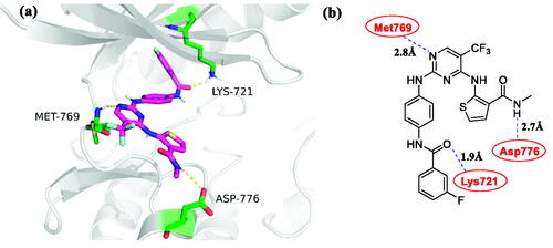 Figure 5. Docking structures of compound 4c. (a) Binding configuration of compounds 4c with EGFRwt (PDB: 1M17); (b) The 2 D model of compound 4c bound to EGFRwt (PDB: 1M17).