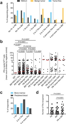 Figure 1. (A) Response rates of PBTCs (PB samples available from n = 51 patients) and BMTCs (BM samples available from n = 39 patients) to TAs in the patients with NSCLC or benign tumors or tumor-free patients categorized by the number of different TAs recognized, as determined using the ELISPOT assay. (B) Higher frequencies of TA-specific TCs were observed in the PB than in the BM in NSCLC patients. The fold increase was calculated by comparing the mean IFN-γ spot count with the count of the IgG controls for all TA-containing wells used to assess samples from the patients with NSCLC or benign tumors or tumor-free patients with ELISPOT. P-values were determined using two-tailed Mann-Whitney and Wilcoxon matched-pairs signed rank tests. (C) – (D) Data from the 39 patients with PB and corresponding BM samples illustrating the response rate in responders alone, as determined using the ELISPOT assay (C), and the total number of TAs recognized per patient in the different compartments (D). (A) – (D) For a better visualization of TC responsiveness in BM versus PB, we show PB data that were published in our previous study.Citation8 P-values were determined using two-tailed Wilcoxon matched-pairs signed rank tests. Ad/CMV, adenovirus/cytomegalovirus; BM, bone marrow; ELISPOT, enzyme-linked immunospot; PB, peripheral blood; PBTCs, peripheral blood-derived T cells; TA, tumor-associated antigen.