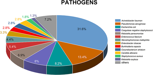Figure 1 Pathogens cultured from nosocomial infections (NIs). The top thirteen hospital-acquired pathogenic bacteria are dominated by Gram-negative bacteria. The top five bacteria are Acinetobacter baumannii (31.6%), Pseudomonas aeruginosa (13.4%), Escherichia coli (8.2%), Coagulase negative staphylococci (8%), Klebsiella pneumoniae (6.9%).