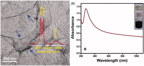 Figure 2. (A) Transmission electron microscope image of graphene; the foldings are marked with blue arrows confirming the sheets are micron sized. The inset in the figure shows the Raman spectrum (a) of graphene. (B) UV-Vis spectrum of the reduced graphene oxide solution and the inset (B) shows the photograph of graphene solution.