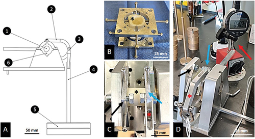 Figure 4. Torsion test. A: Designing and prototyping of the custom-made torsiometer. 1=sample; 2=distributor; 3= point of transformation from a rotative movement to a linear movement; 4= weights holder; 5 = 100 g load; 6= screws area. B: Centering and fixation of the sample. The black asterisks show the bone samples. C: inside the torsiometer, black arrows show the fixed side of the element, blue arrows show the rotating side of the element. D: Complete set-up during experiment. Red asterisks show the distributor and red arrow shows the infra-millimetric gauge measuring displacement at the very end of the lever arm.