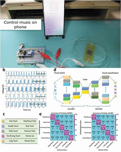 Figure 7. (a) The experimental diagram to control music on phone, (b) Signal of each touch action, (c) Controlling commands corresponding to touch actions, (d) Structure of the autoencoder model, (e) Confusion matrices of the training data and testing data