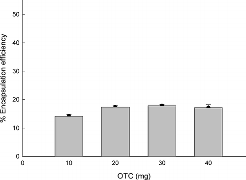 FIG. 3 Effect of OTC quantity on its encapsulation efficiency. OTC (10 to 40 mg) was dissolved in the CTAB (20 mg)/water (0.2 ml)/ethyl formate (3 ml) reverse micelles, and microspheres were prepared by use of 0.6 g PLGA75:25.