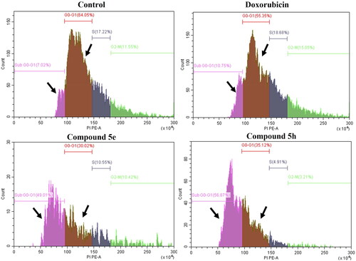 Figure 8. Histograms for cell cycle analysis measuring the percentage of SubG0-G1, G0-G1, S-, and G2M phases by PI assay using flow cytometry. The assay was performed after the treatment of both HCT-116 (colon cancer) for 24h with doxorubicin, 5e and 5h compared to 0.1% DMSO negative control. Data represented as mean ± standard error of the mean (SEM), n = 3.