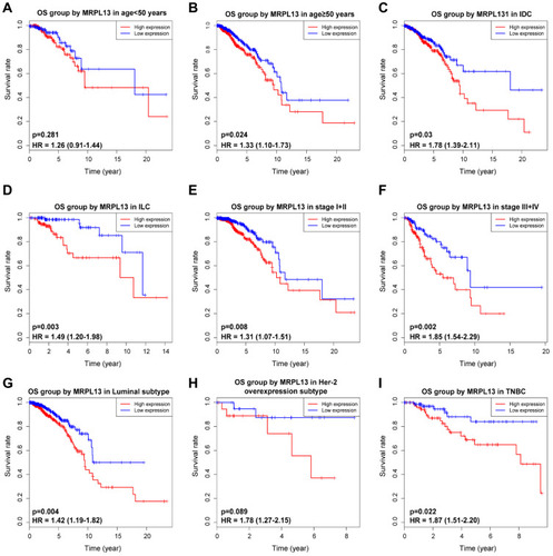 Figure 4 Effect of MRPL13 mRNA expression on OS of BC patients stratified by different clinical features. Subgroup analysis of group age <50 years (A), ≥50 years (B), IDC (C), ILC (D), stage I+II (E), stage III+IV (F), Luminal (G), Her-2 overexpression (H) and TNBC (I) subtypes.