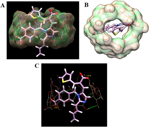 Figure 10. (A) Surface view showing binding configuration of host–guest complex showing eprosartan (stick) inside the cavity of β-CD, (B) surface view showing centrally occupied eprosartan (stick) in the central cavity of β-CD, and (C) detailed binding interactions of eprosartan (stick) at the central cavity of β-CD (wire) showing two hydrogen bonds (dotted yellow line).