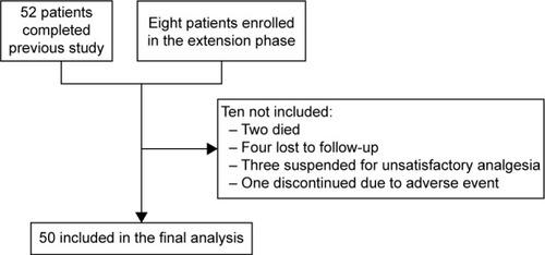 Figure 1 Flowchart of patient disposition throughout the study.