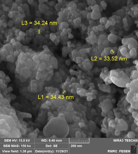 Figure 1. FESEM of ZnO NPs.
