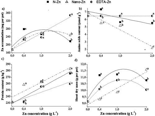 Figure 1. Zn accumulation (a); amino acid content (b), protein content (c) and shoot dry mass (d) of rice plants grown under different Zn sources (S): chelated zinc EDTA (EDTA-Zn), sorbitol-stabilised zinc nitrate (N-Zn); and zinc oxide nanoparticles (Nano-Zn); and different concentrations (C), grown in a greenhouse. ns, * and **, not significant and significant at 5% and 1% probability. Different letters differ the sources in the same Zn concentration by the Tukey test at 5% of probability.
