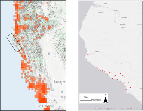Figure 1. Study area maps. Left: Distribution of Dicamptodon spp. observations between San Francisco and the California-Oregon border reported on iNaturalist as of January 17, 2022. The study area corresponds to the gap in coastal observations outlined in black. Right: Survey sites included in this study (n = 29).