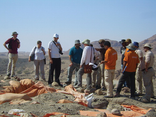 Fig. 5:. CBRL training of RSCN guides at Wadi Faynan 16, September 2011. The structures have been backfilled awaiting possible future excavation. Photo: Christopher Knüsel