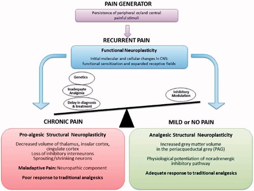 Figure 1. From the physiological perspective, an imbalance between enhanced ascending nociceptive inputs and inadequate inhibitory descending pathways is responsible for pain chronificationCitation45. Reproduced with permission from Coluzzi et al.Citation45.