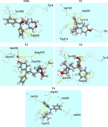 Figure 10. Nonbonding interactions of TMS and its analogues with 5DSG generated by Discovery Studio.