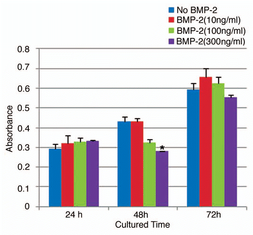 Figure 2 Effects of BMP-2 on ALDHbr cell growth. Freshly sorted ALDHbr cells were cultured for expansion and then inoculated in 96-well plates at a density of 1 × 104 cells/well for 24 h. Cells were then cultured in 0.5% serum-containing medium for another 24 h after washing in phosphate-buffered saline. Cells were treated with 10, 100 or 300 ng/mL BMP-2 diluted in 0.5% serum-containing medium or vehicle control for 24, 48 and 72 h. Growth of the ALDHbr cells was significantly inhibited by the addition of 300 ng/mL of BMP-2 in the presence of 0.5% FBS for 48 h (p < 0.05). each experiment was performed three times; representative examples are shown.