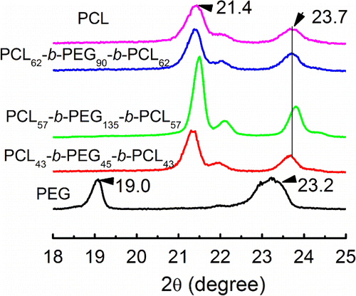 Figure 5. XRD diffraction plots of PCL-b-PEG-b-PCL after cold crystallization.