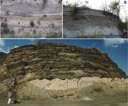 Figure 4. (A) Traianello quarry. The white pumice layer in the middle of the sequence is the base of the Mercato Pumice fallout, followed on top by pyroclastic flow unit. The thinly stratified fallout deposits of Pomici Verdoline and Campi Flegrei Agnano Pomici Principali are visible below the Mercato Pumice. (B) The fallout sequence (white and grey beds) of the Avellino Pumice. (C) Panoramic view of the Post AD 472 sequence in the area of Terzigno. The sequence is formed by the superposition of scoria and ash fallout beds of several eruptions. The light coloured deposits at the base of the sequence record the final pyroclastic density currents and lahars related to the AD 472 Pollena eruption.