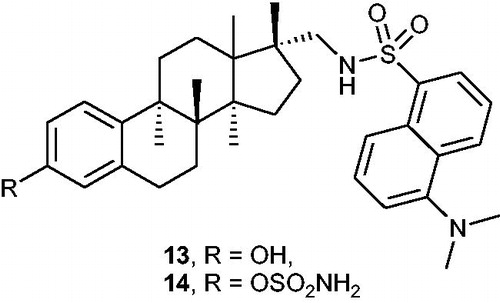 Figure 4. Chemical structures of 17α-dansylaminomethyl-oestradiol 13 and its sulphamoylated derivative 14.