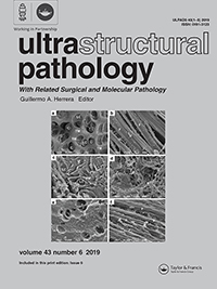 Cover image for Ultrastructural Pathology, Volume 43, Issue 6, 2019