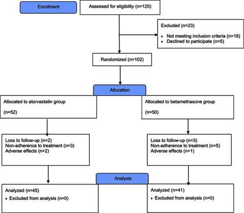 Figure 1 Clinical trial flowchart of the study.