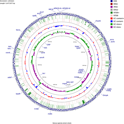 Figure 4 Genome circle diagram of the KP26 strain (marked genes are annotated drug resistance genes).