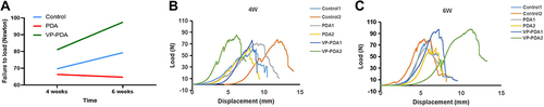 Figure 3 Verapamil-loaded polydopamine nanoparticles enhanced tendon healing. (A) The mechanical strength at the time of tendon rupture was used to evaluate the quality of tendon healing. (B and C) The mechanical strength at the time of tendon rupture at four and six weeks after surgery (n = 2 per group at each time point).