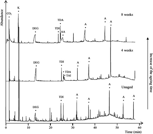 Figure 5. Chromatogram showing results of Py-GC-MS analysis of artificially degraded polyester-based PUR foams showing increase in toluene diamine isomers (TDA) and adipic acid (AA) with increased degradation time. Reprinted from Lattuati-Derrieux et al. (Citation2011) with permission from Elsevier.