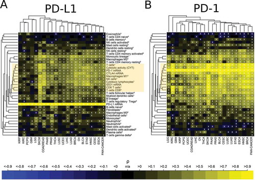 Figure 6. Association of high immune checkpoint expression with the presence of immune cell infiltrates. (A) Strong positive correlation of PD-L1 expression with the immune variables in the central immune signature (CIS, yellow box). 60% of the correlations were significantly positive, 3% were significantly negative (white crosses, FDR< 5%). (B) Very strong positive correlation of PD-1 expression with the immune variables in the central immune signature (CIS, yellow box). 69% of the correlations were significantly positive, 6% were significantly negative (white crosses, FDR< 5%). The abundance of cell populations was estimated by MCP-counter1 and CIBERSORT2.