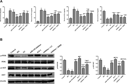 Figure 6 Effect of miR-138 on the content of inflammation (A) and PI3K/AKT pathway (B) related factors in HUVECs. **p < 0.01 against Control group; #p < 0.05, ##p < 0.01 against HG group; ^p < 0.05, ^^p < 0.01 against NC group; &p < 0.05, &&p < 0.01 against miR-138 inhibitor group; $p < 0.05, $$p < 0.01 against IGF-1 group, %%p < 0.01 against inhibitor + LY group.