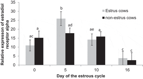 Figure 4. Relative expression of estrogen receptor alpha on Days 0, 5, 10, and 16 of the estrous cycle for cows in the estrus and non-estrus groups. Bars having different superscripts are different (abP < 0.05; acP < 0.02; bcP < 0.01; bdP < 0.09; ceP < 0.07).