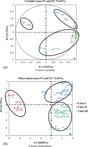 Figure 4. Correlation circle (a) and dispersion of accessions; (b) on the F1 and F2 axes in the second crop cycle.