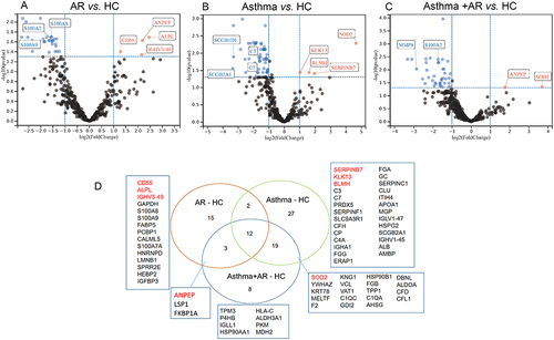 Figure 1 Differentially expressed proteins (DEPs) among AR, asthma, combined asthma+ AR and healthy controls (HCs) for nasal lavage fluid. Volcano plot of DEPs, (A) AR vs HCs; (B) asthma vs HCs; (C) combined asthma+ AR vs HCs; (D) Venn diagram of DEPs. Fold change ≥2.0 or fold change ≤0.5 (false-discovery rate, FDR <0.05). AR, allergic rhinitis, HCs, healthy controls.