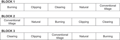 Figure 1. Layout of the field experiment in Chiota, showing five treatments (Adapted from Nyamadzawo Citation2015).Conventional tillage involved tilling using hoes; clipping involved cutting using sickles to 5 cm above ground; clearing involved scrapping off the vegetation using hoes; burning involved setting vegetation on fire during the dry season until all plants were burnt; natural state was the control.