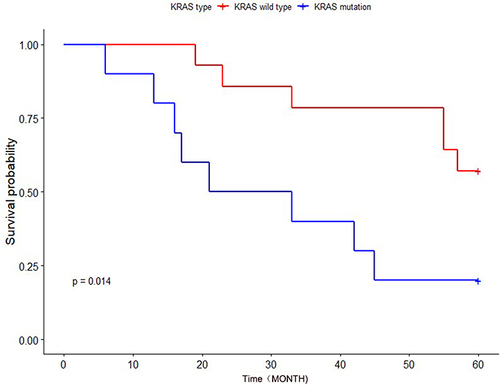 Figure 9 The effects of different KRAS genotypes on the survival and prognosis of patients with CRC.