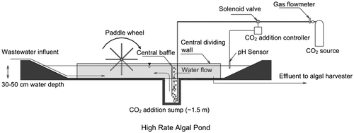 Figure 2. Side elevation of a high rate algal pond with CO2 addition to enhance algal growth.