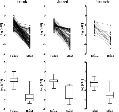 Figure 4 The variant allele frequency (VAF) for trunk, shared and branch mutations from tissue and blood of the multi-sample group. Dot plot (top row) and box and whisker’s plot (bottom row) are shown for trunk, shared and branch mutations of the multi-sample group.