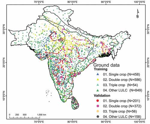 Figure 4. Spatial distribution of ground sample (training and validation) data ((ICRISAT Citation2022; Gumma et al. Citation2017) collected for mapping crop intensity (product 2) in South Asia using MODIS data Miller Citation2016)).